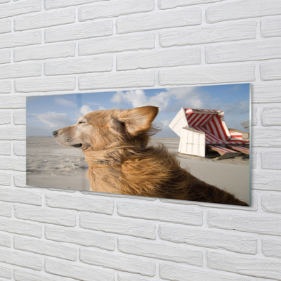 Szklany Panel Brązowy pies plaża