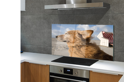 Szklany Panel Pies na Nadmorskiej Plaży