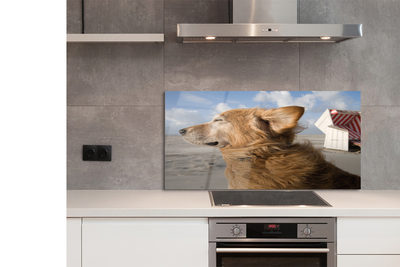 Szklany Panel Pies na Nadmorskiej Plaży