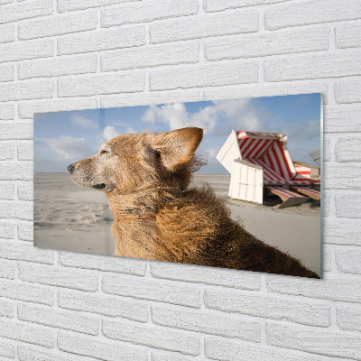 Szklany Panel Brązowy pies plaża