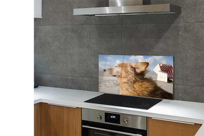 Szklany Panel Pies na Nadmorskiej Plaży