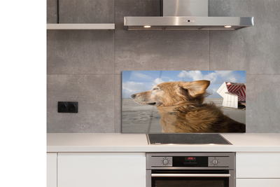 Szklany Panel Pies na Nadmorskiej Plaży