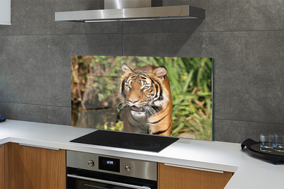 Panel szklany do Kuchni Tygrys na Leśnej Ścieżce