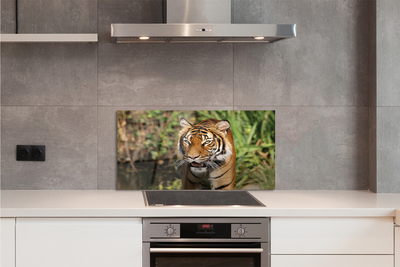 Panel szklany do Kuchni Tygrys na Leśnej Ścieżce