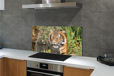 Panel szklany do Kuchni Tygrys na Leśnej Ścieżce
