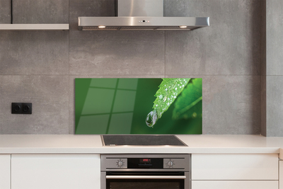 Szklany Panel Poranny Detal na Liściu