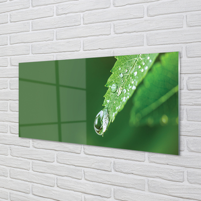 Szklany Panel Poranny Detal na Liściu