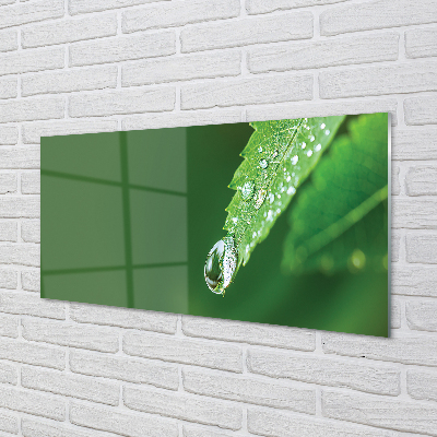Szklany Panel Poranny Detal na Liściu
