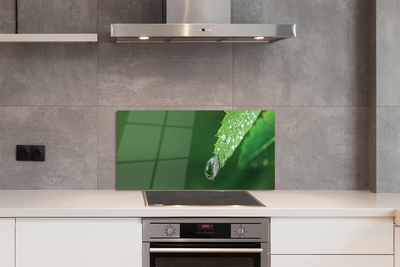 Szklany Panel Poranny Detal na Liściu