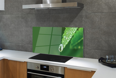 Szklany Panel Poranny Detal na Liściu