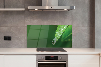 Szklany Panel Poranny Detal na Liściu