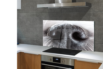 Szkło Ozdobne do Kuchni Zbliżenie na Psi Nos