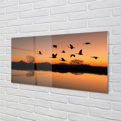 Panel Szklany Lecące ptaki zachód słońca
