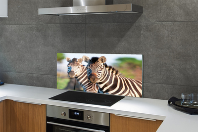 Szklany Panel Rodzina Zebr na Sawannie