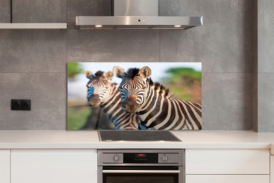 Szklany Panel Rodzina Zebr na Sawannie