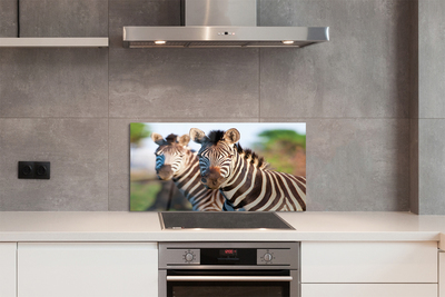 Szklany Panel Rodzina Zebr na Sawannie