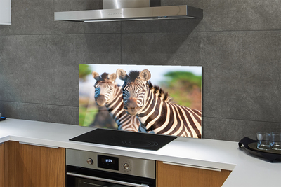 Szklany Panel Rodzina Zebr na Sawannie