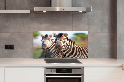 Szklany Panel Rodzina Zebr na Sawannie