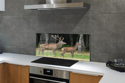 Panel Szklany Jeleń w Gęstwinie Leśnej