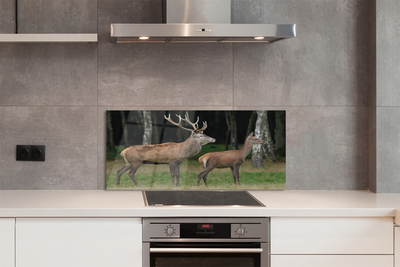 Panel Szklany Jeleń w Gęstwinie Leśnej