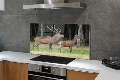 Panel Szklany Jeleń w Gęstwinie Leśnej