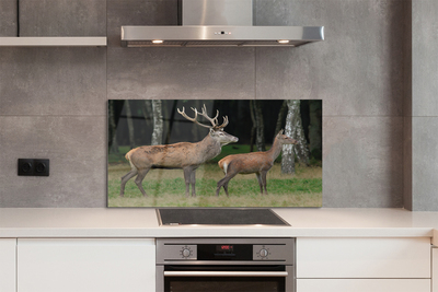 Panel Szklany Jeleń w Gęstwinie Leśnej