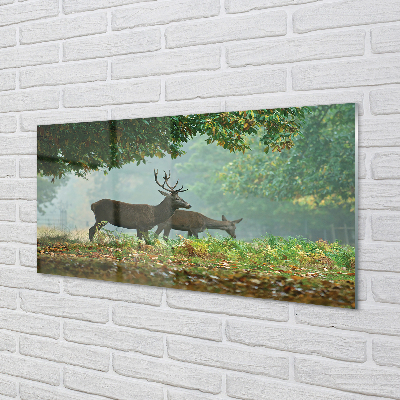 Panel nad Blat Kuchenny Jeleń w Jesiennej Aurze