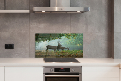 Panel nad Blat Kuchenny Jeleń w Jesiennej Aurze