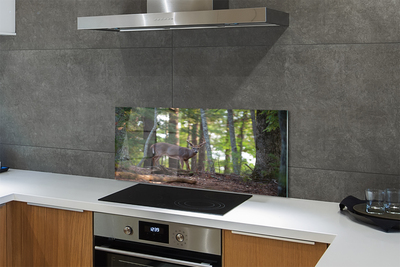 Panel nad Blat Kuchenny Spotkanie z Jeleniem w Puszczy