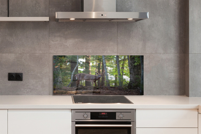 Panel nad Blat Kuchenny Spotkanie z Jeleniem w Puszczy