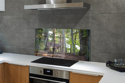 Panel nad Blat Kuchenny Spotkanie z Jeleniem w Puszczy