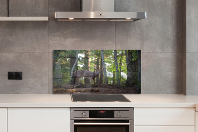 Panel nad Blat Kuchenny Spotkanie z Jeleniem w Puszczy