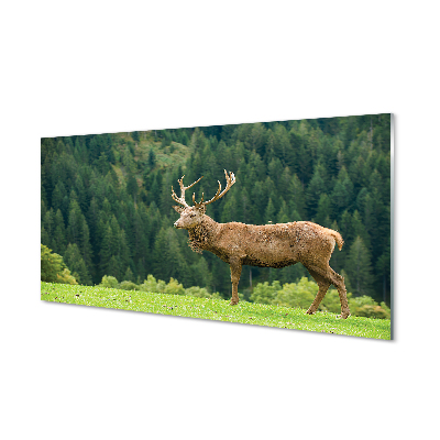 Panel nad Blat Kuchenny Jeleń na Otwartym Polu