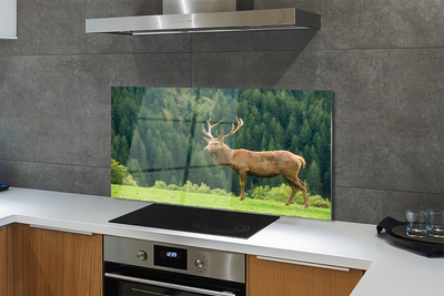 Panel nad Blat Kuchenny Jeleń na Otwartym Polu