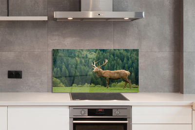 Panel nad Blat Kuchenny Jeleń na Otwartym Polu