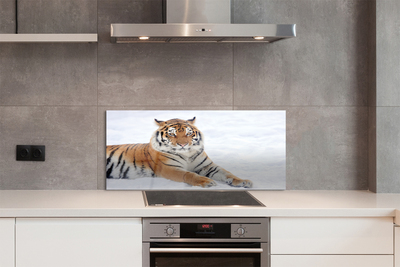 Panel szklany do Kuchni Tygrys Syberyjski w Śniegu