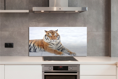 Panel szklany do Kuchni Tygrys Syberyjski w Śniegu