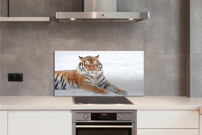 Panel szklany do Kuchni Tygrys Syberyjski w Śniegu