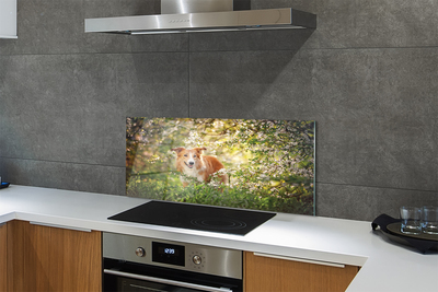 Szkło Ozdobne do Kuchni Pies wśród Leśnych Kwiatów