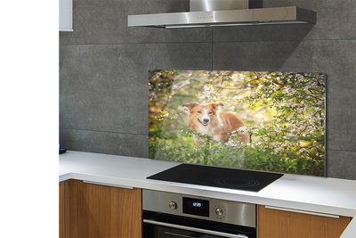 Szkło Ozdobne do Kuchni Pies wśród Leśnych Kwiatów