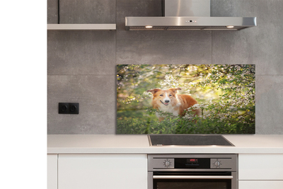 Szkło Ozdobne do Kuchni Pies wśród Leśnych Kwiatów