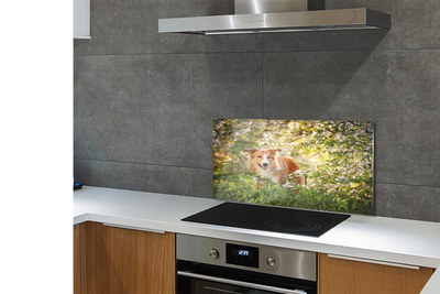 Szkło Ozdobne do Kuchni Pies wśród Leśnych Kwiatów