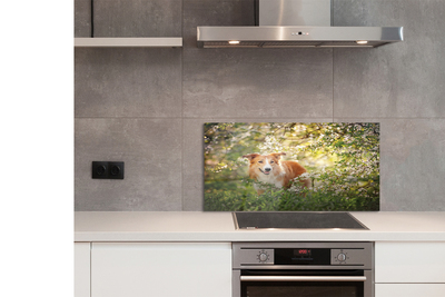 Szkło Ozdobne do Kuchni Pies wśród Leśnych Kwiatów