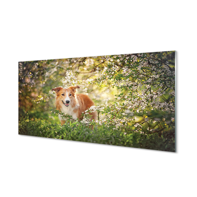 Szklany Panel Pies las kwiaty