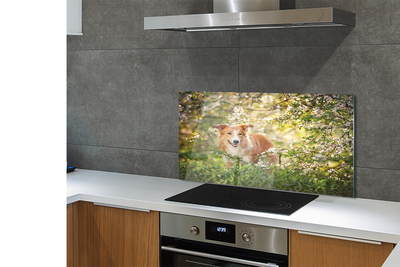 Szkło Ozdobne do Kuchni Pies wśród Leśnych Kwiatów