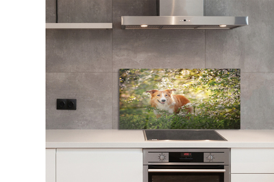 Szkło Ozdobne do Kuchni Pies wśród Leśnych Kwiatów