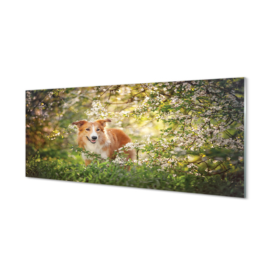 Szklany Panel Pies las kwiaty