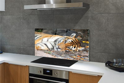 Szklany Panel Odpoczywający Tygrys