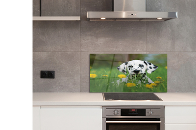 Szklany Panel Szczęśliwy Pies na Zielonej Łące