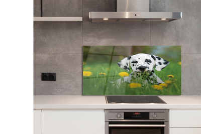 Szklany Panel Szczęśliwy Pies na Zielonej Łące